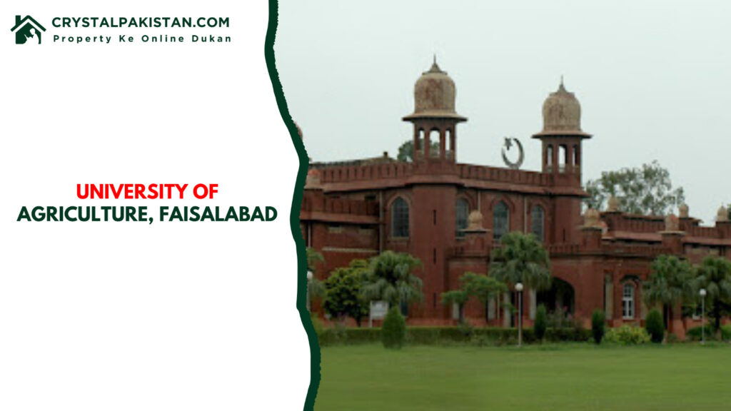 University of Agriculture, Faisalabad