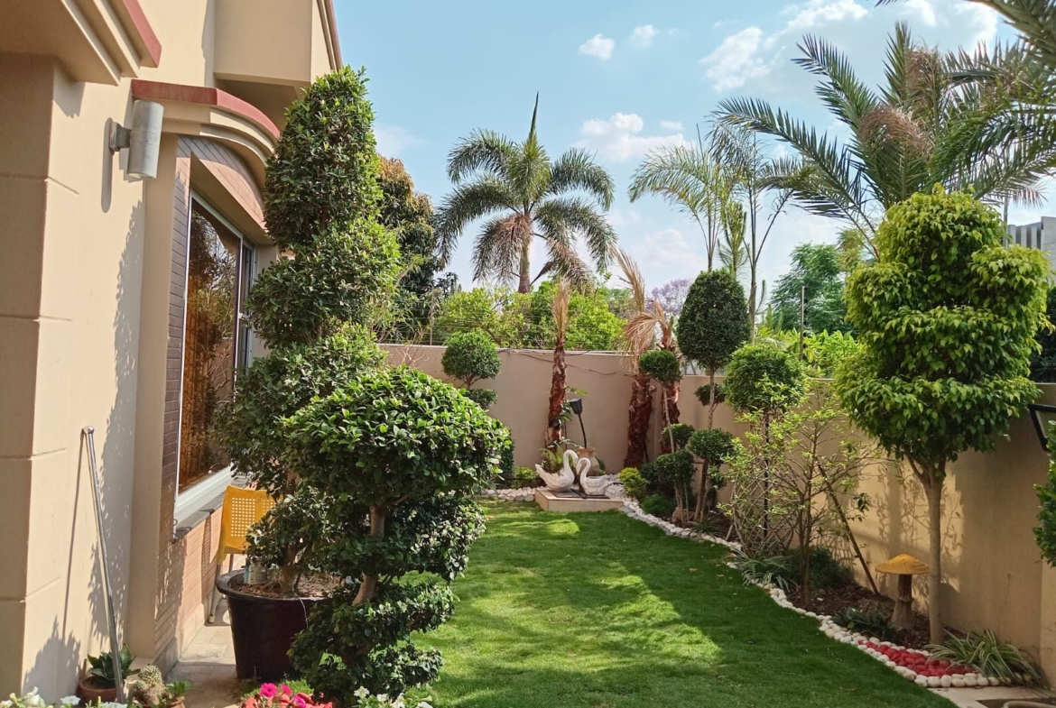 1 Kanal Upper Portion Available For Rent in DHA Phase 6 LHR