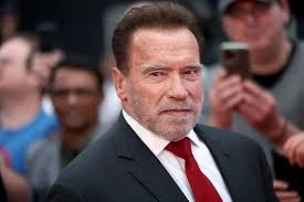 Arnold Schwarzenegger richest actors