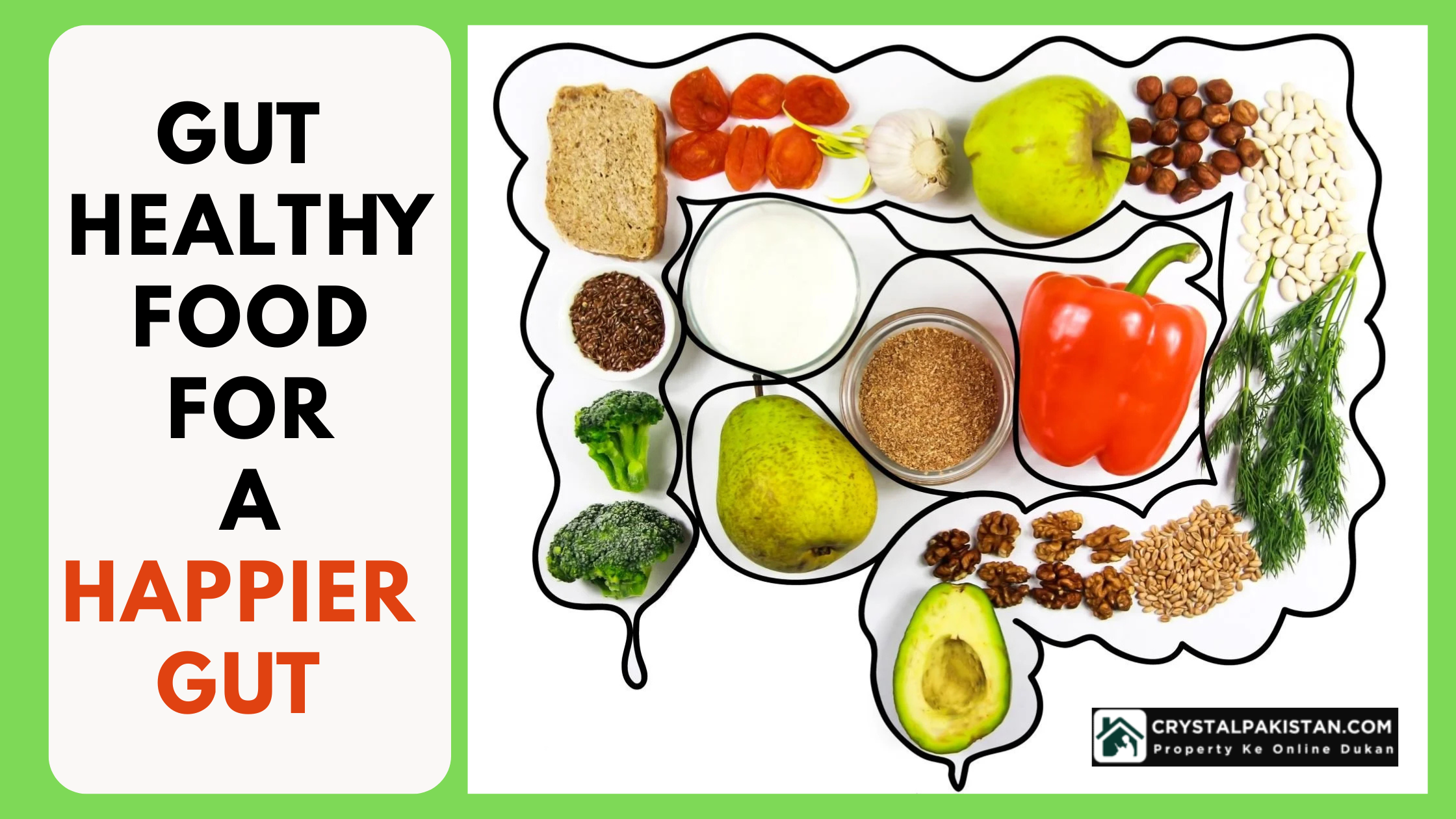 Top 10 Gut Healthy Foods for Wellness
