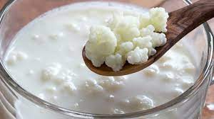 kefir