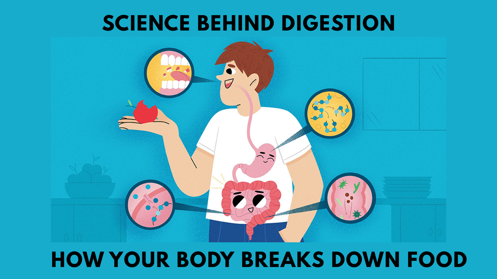 Science Behind Digestion