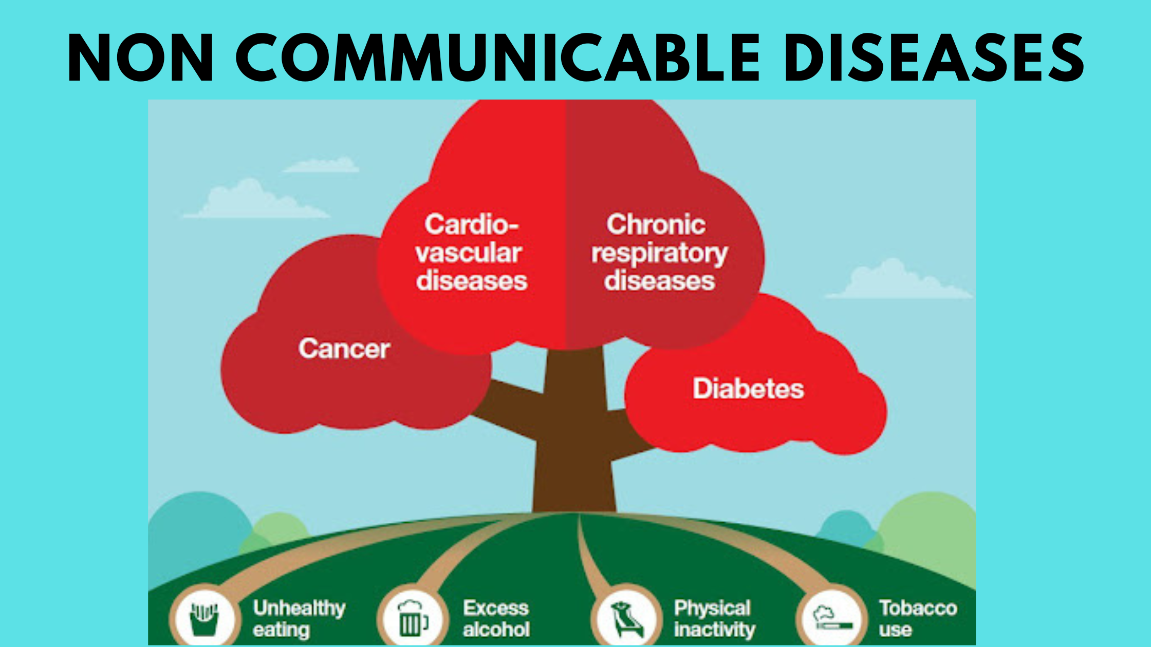 5 Non-Communicable Diseases