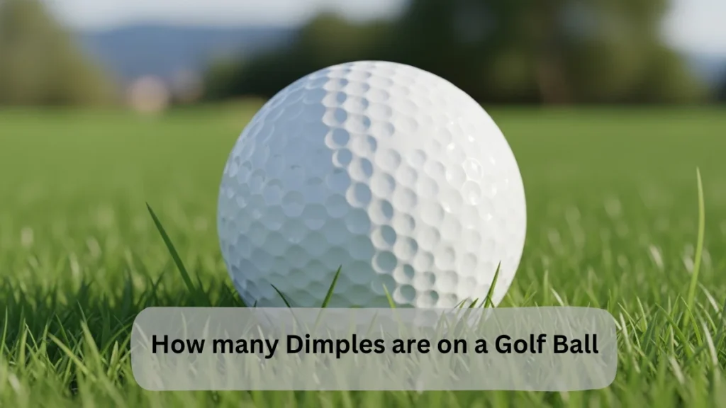 How many Dimples are on a Golf Ball – Shocking Facts Revealed!