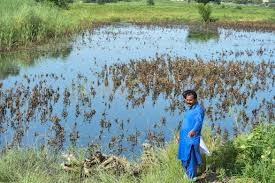 Cotton Zones Hit Hard by Recent Floods-Stay Updated!
