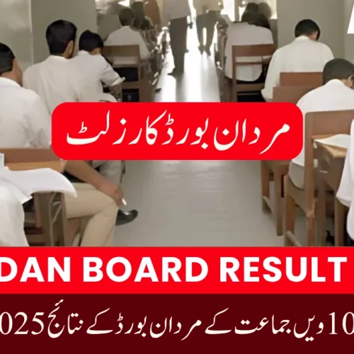 Mardan Board Result 2025: Punjab Private Schools Shine, Government Schools Improve
