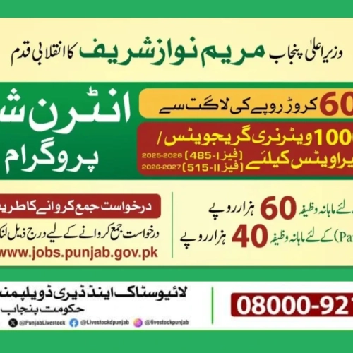 Punjab CM’s Veterinary Internship Program 2025 – Apply for Paid Veterinary Internships